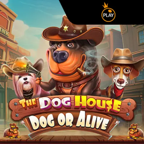 the dog house - Dog or Alive